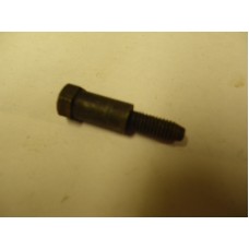 Timing Chain Shanked Bolt