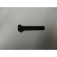 Rear Roadspring Bolt